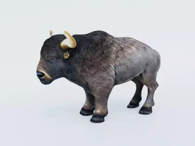 Buffalo Free 3D model