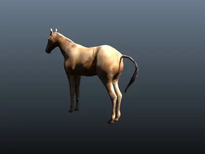 horse 3D model 8