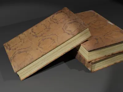 Old Martial Arts Book textured Low-poly 3D model