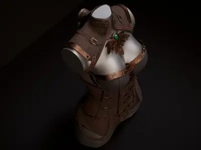 Stylized Steampunk Corset 