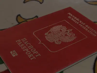 passport id pack of different countries Low-poly 3D model