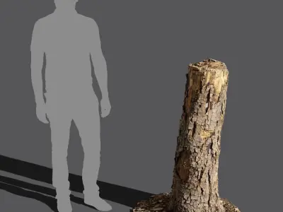  Medium Broken Conifer Stump Model 