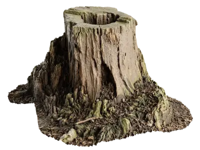  Short Cut Decaying Hollow Stump Model 