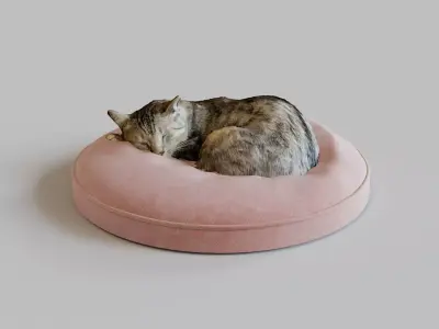 Cat sleeping on a pillow 3d Scan 3D model