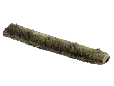  Large Decaying Mossy Forest Log Model 