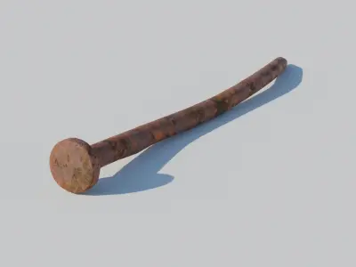 Rusty Nail 3D model