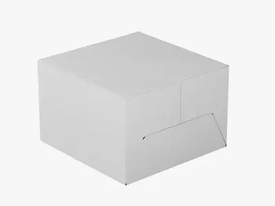 Cake Box 3D model