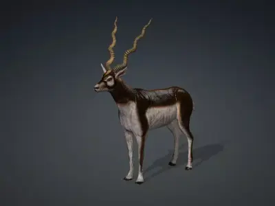 antilope 3d animal with motion Free 3D model
