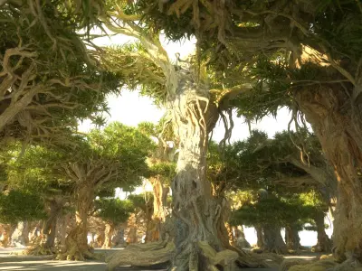 Dragon Tree Pack HD 3D model