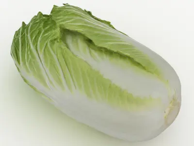 Lettuce Collection 2 3D model