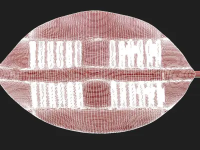 African Shield 3D model