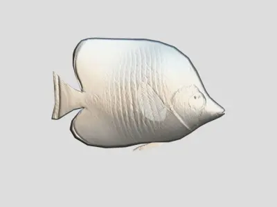 Bluecheek butterflyfish Low-poly 3D model