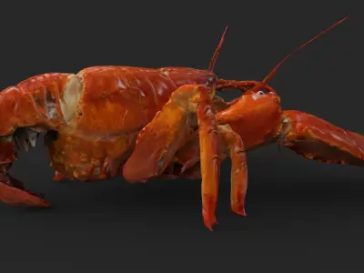 Lobster Low-poly 3D model buy