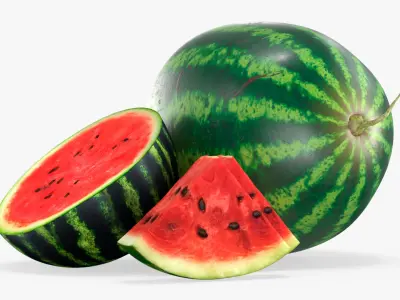 Fresh Watermelon with Half and Cut Slice 3D model