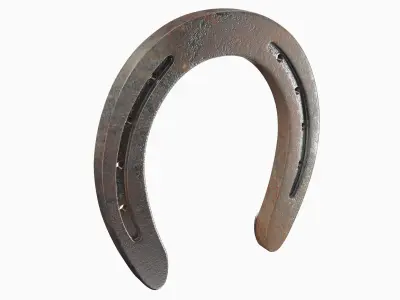 Horseshoe 3D model