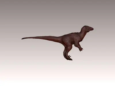 Unenlagia Dinosaur 3D print model