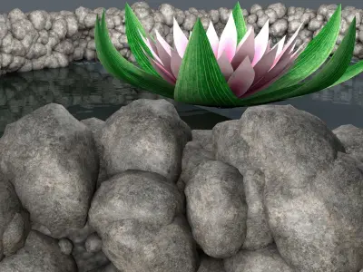 Water Lily Low-poly 3D model