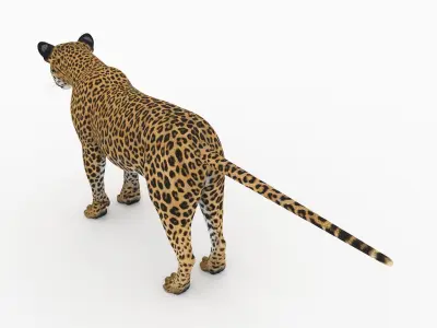 Jaguar4 leopard 3D model