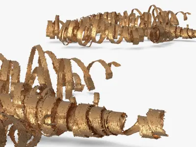 Spiral Gold Shavings from Jewelry Lathe Gold 3D model