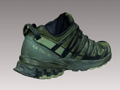 Salomon XA PRO 3D V8 shoe 3D model