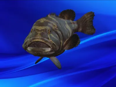 Fish Animation 3d model  Low-poly 3D model