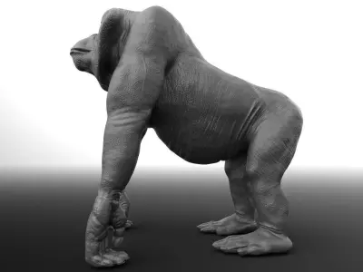 Orangutan gorilla Free 3D model
