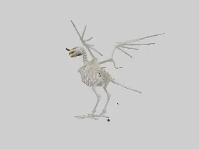 Eagle Skeleton model Low-poly 3D model