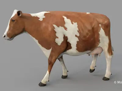 Cow PRO Ayrshire 3D model