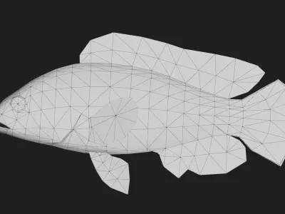 Yellowfinhin Low-poly 3D model