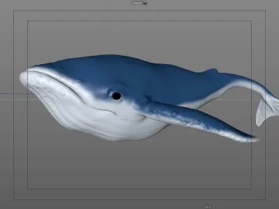 Whale Cartoon 3D model purchase