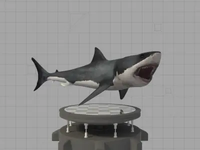 Great White Shark 3D model 8