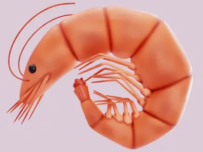 Shrimp  3D model