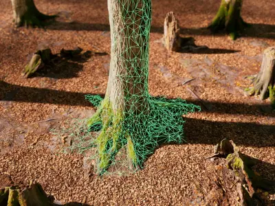 European Beech 04 3D Scanned Animated 3D model