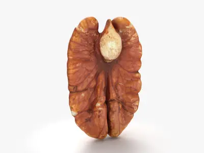 Pecan - 3D Scanned Collection 3D model