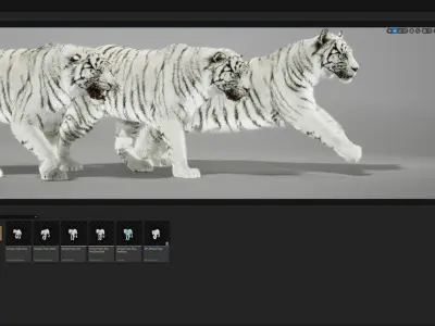Tigers- White and Bengal - UNREAL PROJECTS 3D model