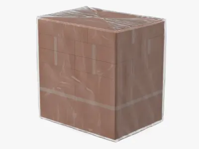 Transparent Cargo Pallet Cover 3D model