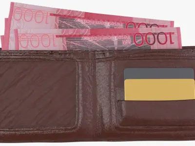 Dominican 1000 Pesos Wallet Money Purse 3D model