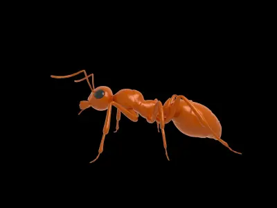 Ant Rig 3D model