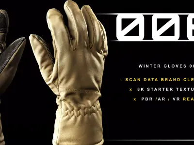 Winter Gloves 006 Low-poly 3D model