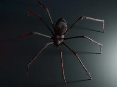 Giant Spider 3D model purchase