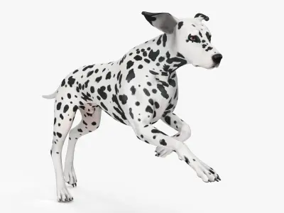 Running Spotted Dalmatian Dog 3D model