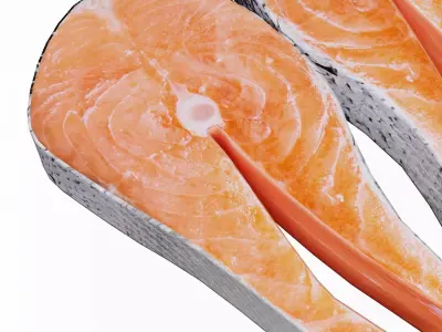 Salmon Fish 3D model get