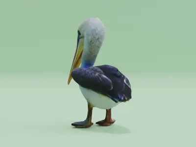Baby Pelican Cute Low-poly 3D model