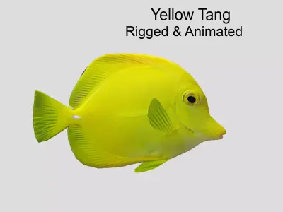 Yellow Tang 2 Realistic Animated Low-poly 3D model