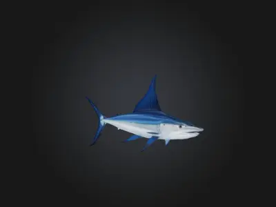 White marlin Low-poly 3D model