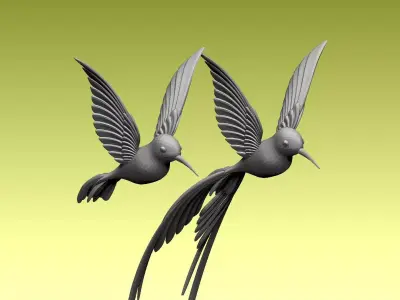 colibri humming bird 3D model purchase