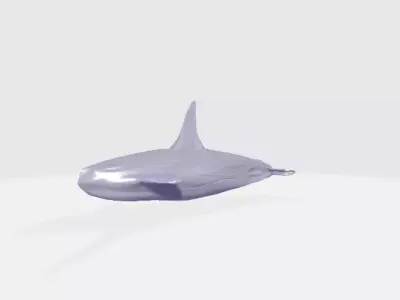 High Poly Whale 3D model
