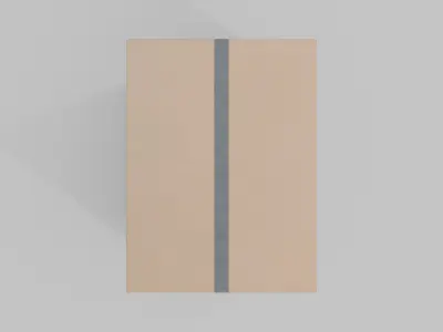 Tall Rectangular Cardboard Box - Rigged and Fully Customizable Low-poly 3D model
