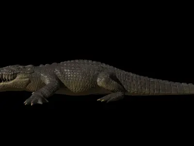 High-Quality Crocodile 3D Model Low Poly  4K PBR Maps Low-poly 3D model
