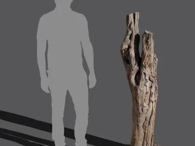  Tall Cut Deciduous Stump Model 